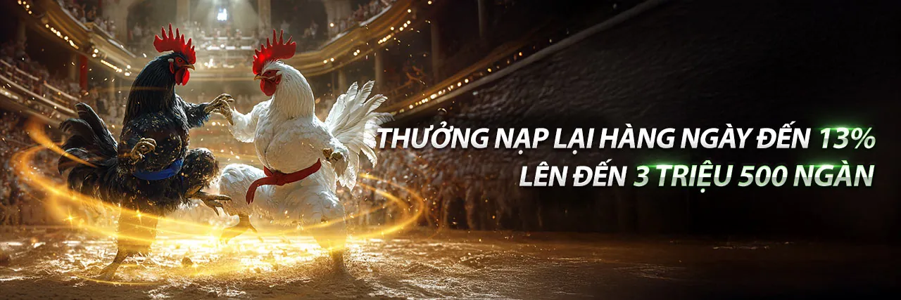 Đá Gà HP88 Trực Tuyến
